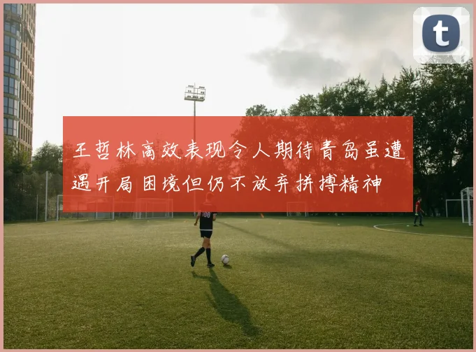 王哲林高效表现令人期待青岛虽遭遇开局困境但仍不放弃拼搏精神