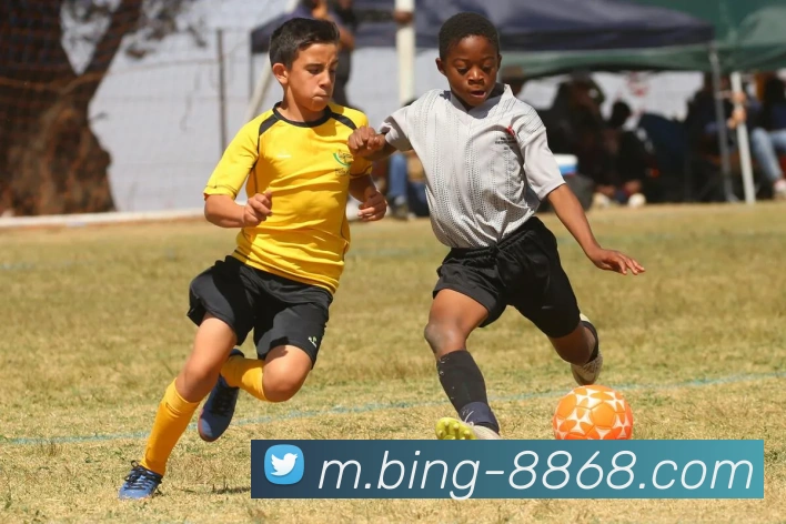 App Interface Preview